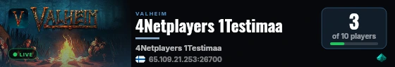 4Netplayers 1Testimaa live status badge