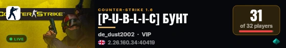 [P-U-B-L-I-C] БУНТ live status badge