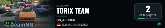 TORIX TEAM live status badge