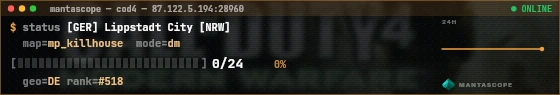 Console badge preview