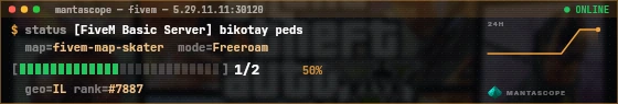 Console badge preview