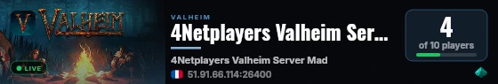 4Netplayers Valheim Server mad live status badge