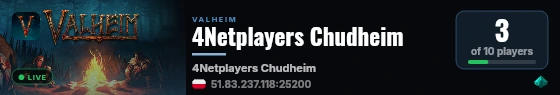 4Netplayers Chudheim live status badge