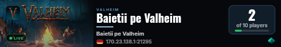 Baietii pe Valheim live status badge