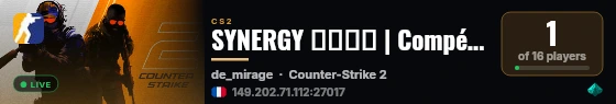SYNERGY ᵀᴱᴬᴹ | Compétitif live status badge