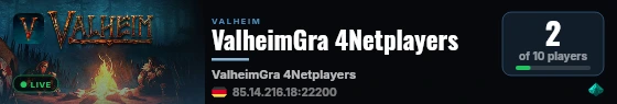 ValheimGra 4Netplayers live status badge