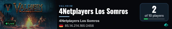 4Netplayers Los Somros live status badge