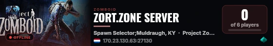 ZORT.ZONE SERVER live status badge
