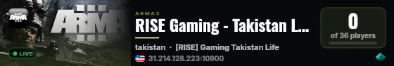 RISE Gaming - Takistan Life | https://discord.gg/dVWvxEZJBj live status badge