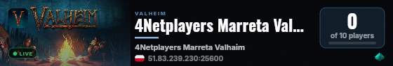 4Netplayers Marreta Valhaim live status badge