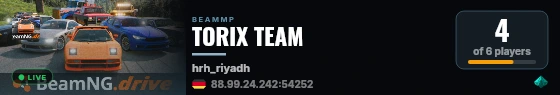 TORIX TEAM live status badge