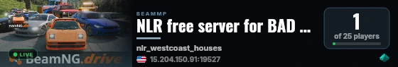 NLR free server for BAD computers folks or broke boys live status badge