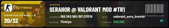 Ticket badge preview