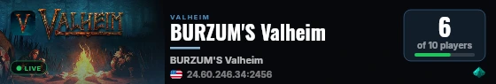 BURZUM'S Valheim live status badge