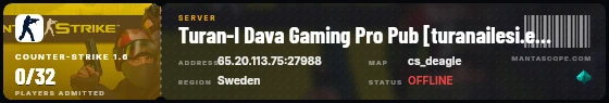 Ticket badge preview