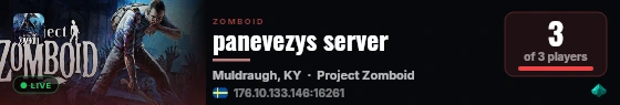 panevezys server live status badge