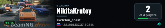 NikitaKrutoy live status badge