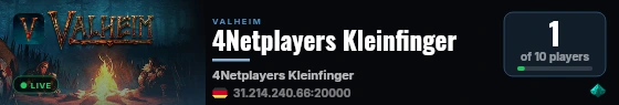 4Netplayers Kleinfinger live status badge