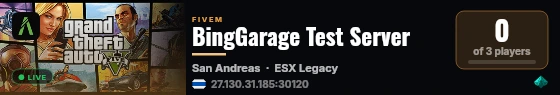BingGarage Test Server live status badge