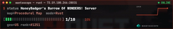 Console badge preview