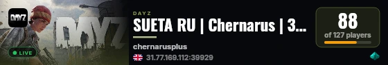 SUETA RU | Chernarus | 3PP | PVP MORE LOOT | WIPE 12.09 live status badge