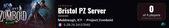 Bristol PZ Server live status badge