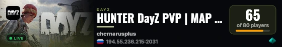HUNTER DayZ PVP | MAP | PARTY live status badge