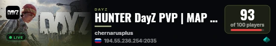 HUNTER DayZ PVP | MAP | PARTY live status badge