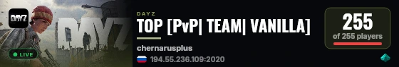 TOP [PvP| TEAM| VANILLA] live status badge