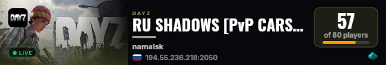 RU SHADOWS [PvP CARS TACTICAL] live status badge