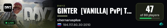 GINTER  [VANILLA| PvP| Team| Solidarity] live status badge