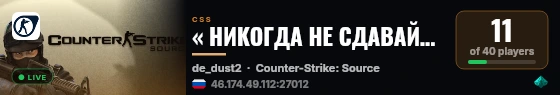 « НИКОГДА НЕ СДАВАЙСЯ © » [21+] live status badge