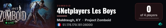 4Netplayers Les Boys live status badge