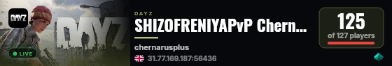 SHIZOFRENIYAPvP Chernarus live status badge