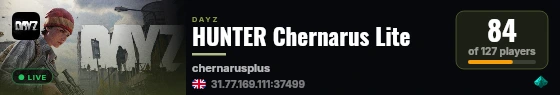 HUNTER Chernarus Lite live status badge