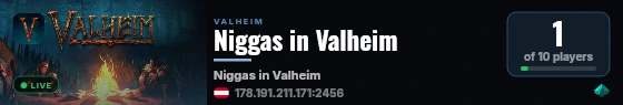 Niggas in Valheim live status badge