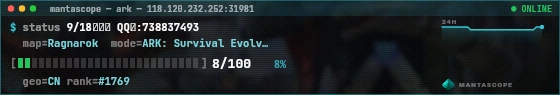 Console badge preview