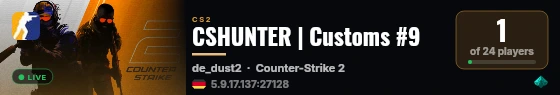 CSHUNTER | Customs #9 live status badge