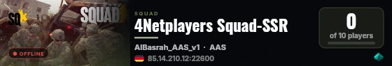 4Netplayers Squad-SSR live status badge