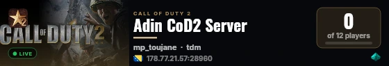 Adin CoD2 Server live status badge