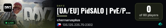 [UA/EU] PidSALO | PvE/PvP | dsc.gg/pidsalo live status badge