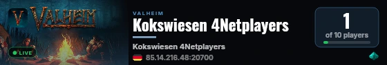 Kokswiesen 4Netplayers live status badge