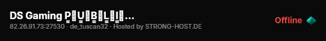 DS Gaming P͇̿U͇̿B͇̿L͇̿I͇̿C͇̿ Server live status badge