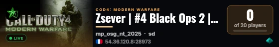 Zsever | #4 Black Ops 2 | zsever-gaming.com | Custom BO2 Mod | live status badge