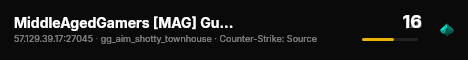 MiddleAgedGamers [MAG] GunGame live status badge