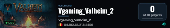 Vgaming_Valheim_2 live status badge