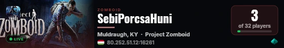 SebiPorcsaHuni live status badge