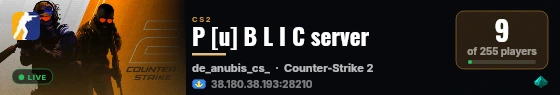 P [u] B L I C server live status badge