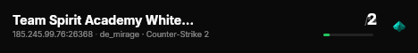 Team Spirit Academy White powered by PRACC.COM live status badge