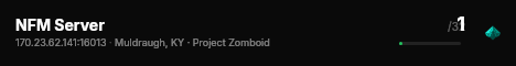 NFM Server live status badge